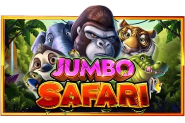 colourful slot themed browsing layout for bd 3000 users in Bangladesh